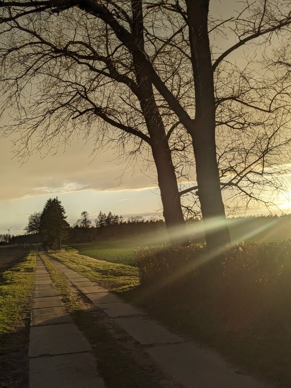 Section of track near P&auml;tschow // &copy; Vincent-Gregor Schulze