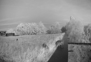 &copy; M&uuml;ritzeum