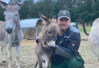 Agriculture in Freest, &copy; henry Sch&ouml;nrock