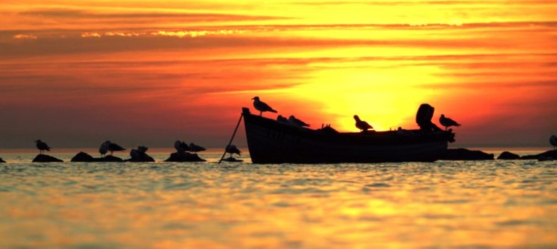 &copy; Nico Offermann