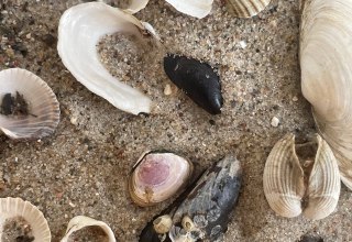 &copy; Erlebnis Akademie AG/NEZR