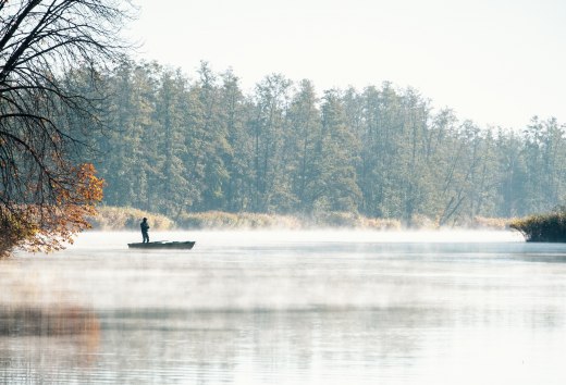 Hengelaars in een boot op de mistige Peene in de herfst, omringd door herfstige bomen. // Ochtendnevel stijgt op boven de Peene, terwijl gouden herfstbladeren langs de oevers hangen. Een boot glijdt door de stilte - vissersgeluk tussen water en uitgestrektheid. // © MV-T/Scholz-Witzel Hengelaars in een boot op de mistige Peene in de herfst, omringd door herfstige bomen.