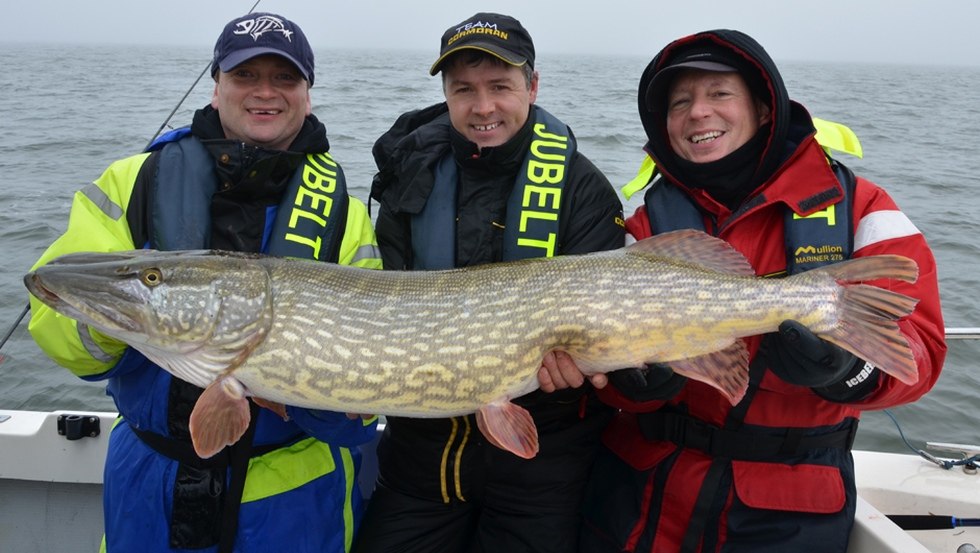 In the Bodden waters capital pike are not uncommon, &copy; Guido Jubelt