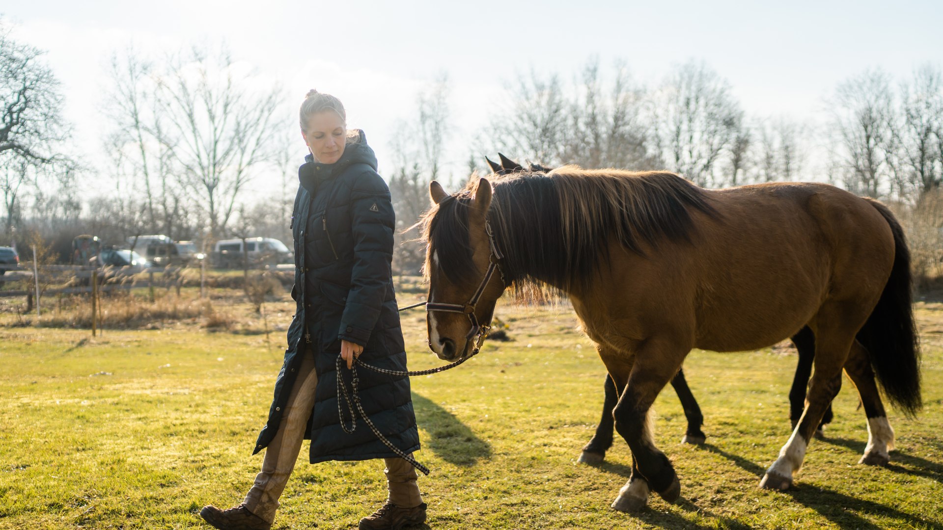 Levke vom Gutshaus Ehmkendorf met haar twee pony's op weg naar het zadelmak maken., © TMV/Gross