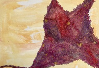 &copy; Floriane Kalz