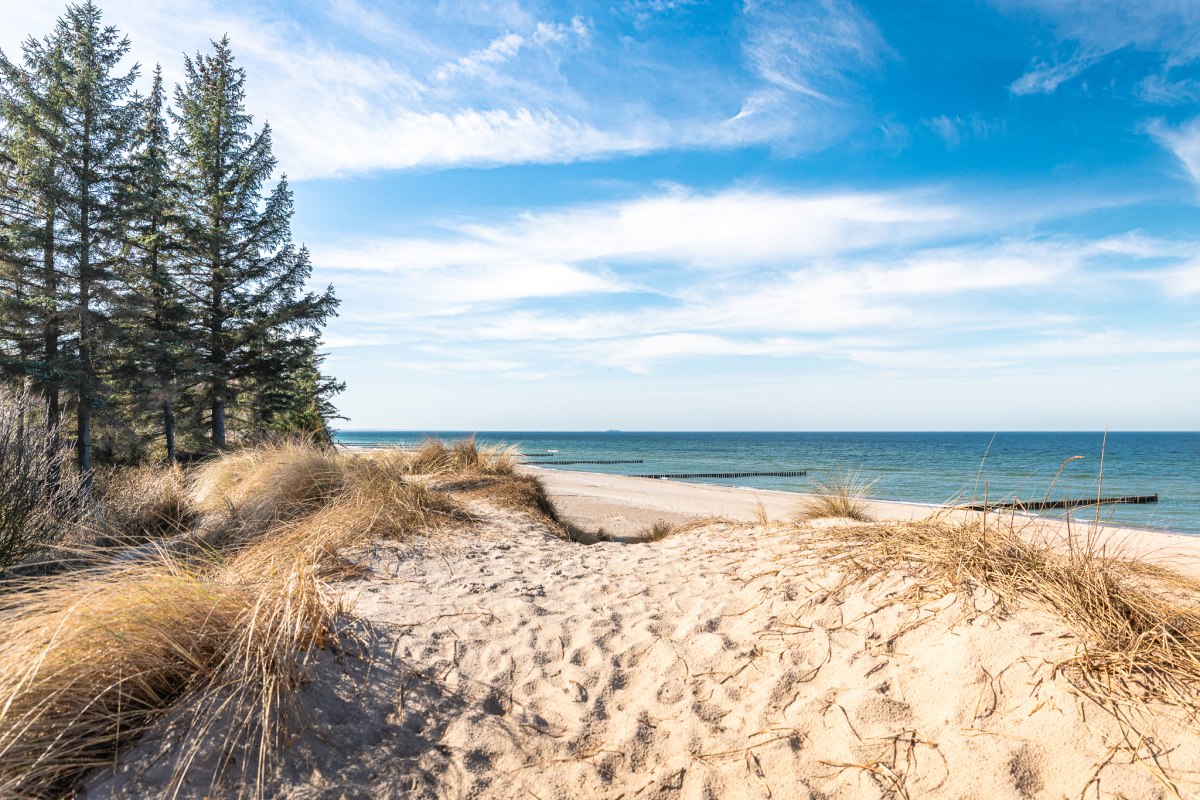 Coastal forest hike "Between the sound of waves and forest whispers" // &copy; Andr&eacute; Pristaff / TuK