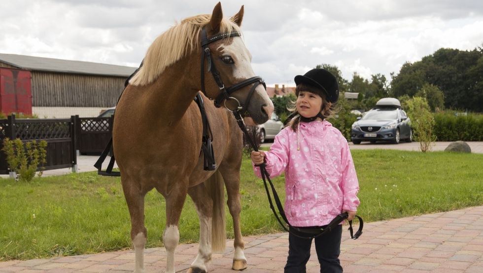 Paardenliefhebbers beleven een paradijs op vakantieboerderij Mirow, © Ferienhof Mirow/Mewes