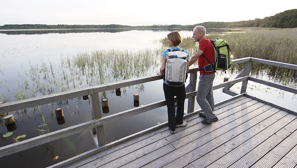 Podziwiaj rozległe widoki: Platforma widokowa na północnym brzegu jeziora Priesterbäker See znajduje się w centrum Parku Narodowego Müritz, © TMV/outdoor-visions.com
