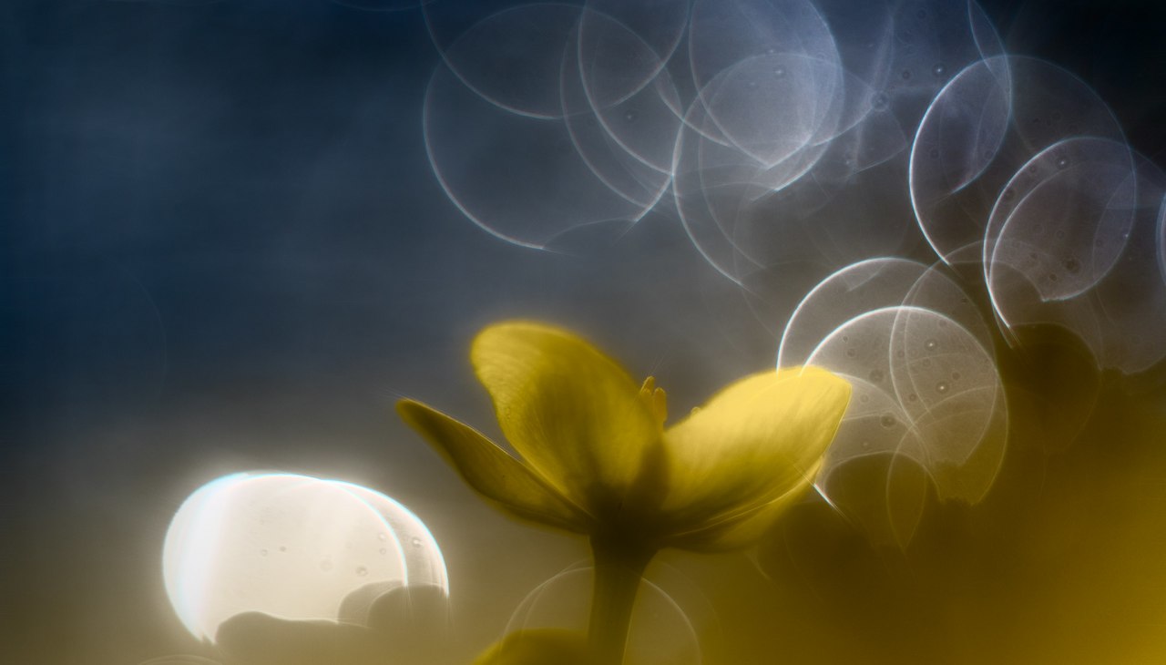 Vintage photography with old lenses, © Ralf Mittermüller