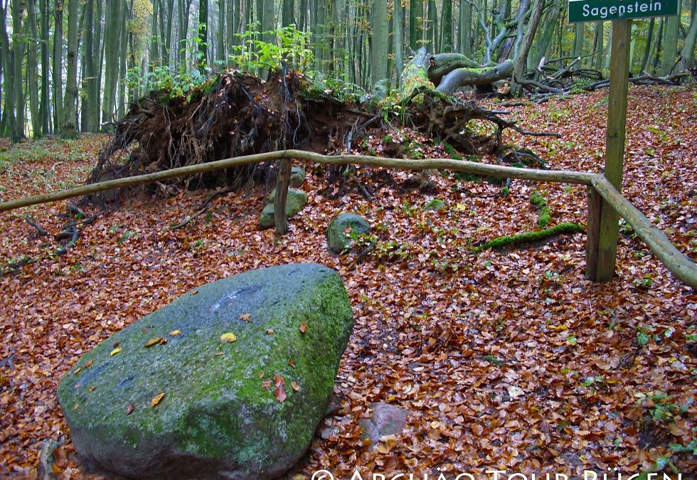 Ukryty w lesie liściastym leży legendarny kamień, © Archäo Tour Rügen