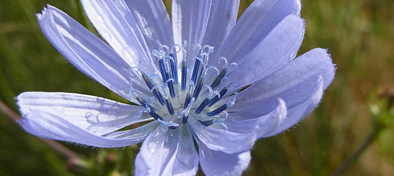 &copy; bereitgestellt von Silvia Berg