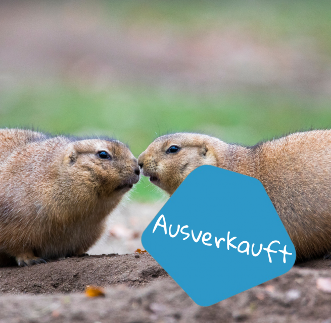 © Zoo Schwerin © Zoo Schwerin