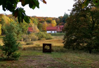 &copy; Wiebke D&ouml;bbert