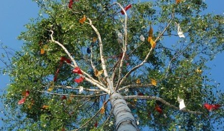 Maypole // &copy; Touristik Lohme