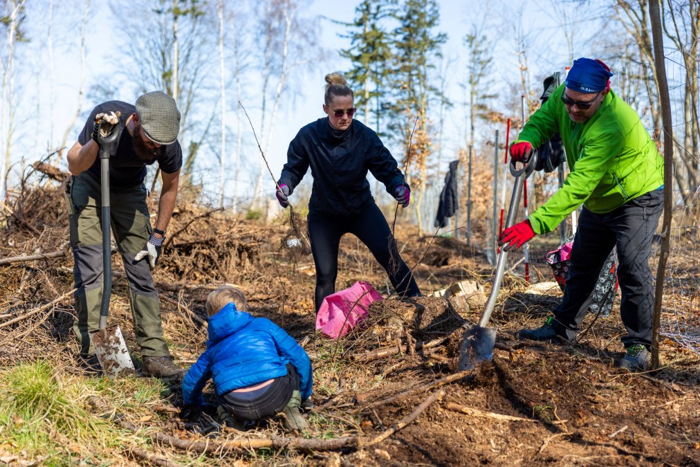 An event for the whole family., © Rostocker Citylauf e.V.