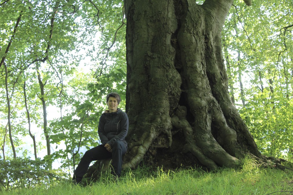 Tree meditation, © Dr. Dorit Stövhase-Klaunig Tree meditation, © Dr. Dorit Stövhase-Klaunig