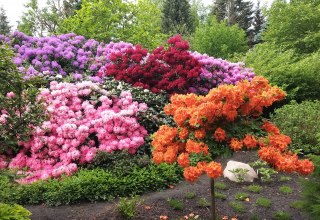 &copy; Botanischer Garten Christiansberg