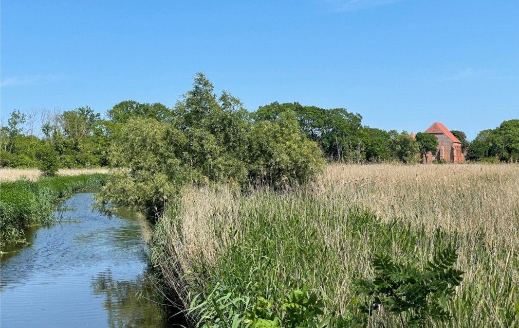 Wilde en geneeskrachtige kruiden tour, © Südliche Boddenküste