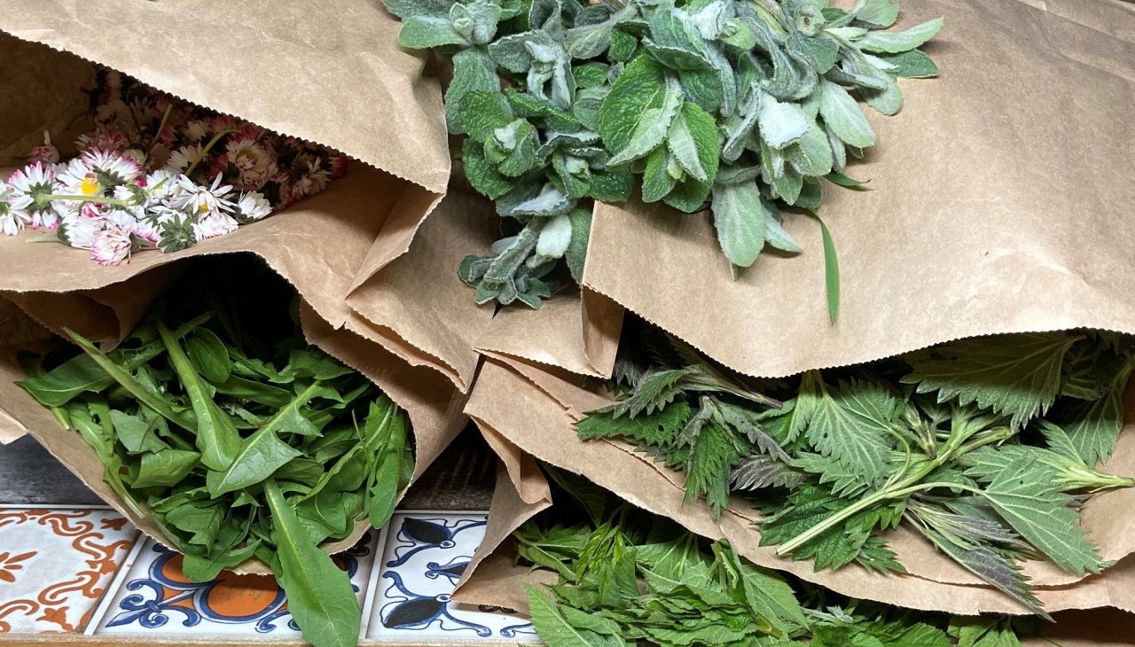 Dzikie zioła, © Jolanta Grenke