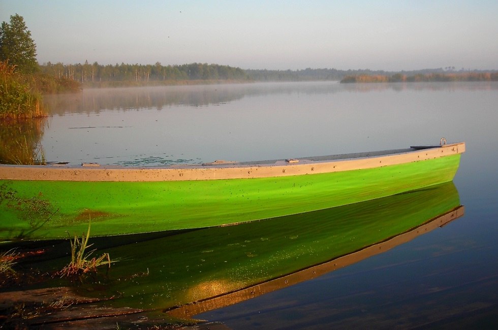 Poranna atmosfera nad jeziorem, © NationalparkTours