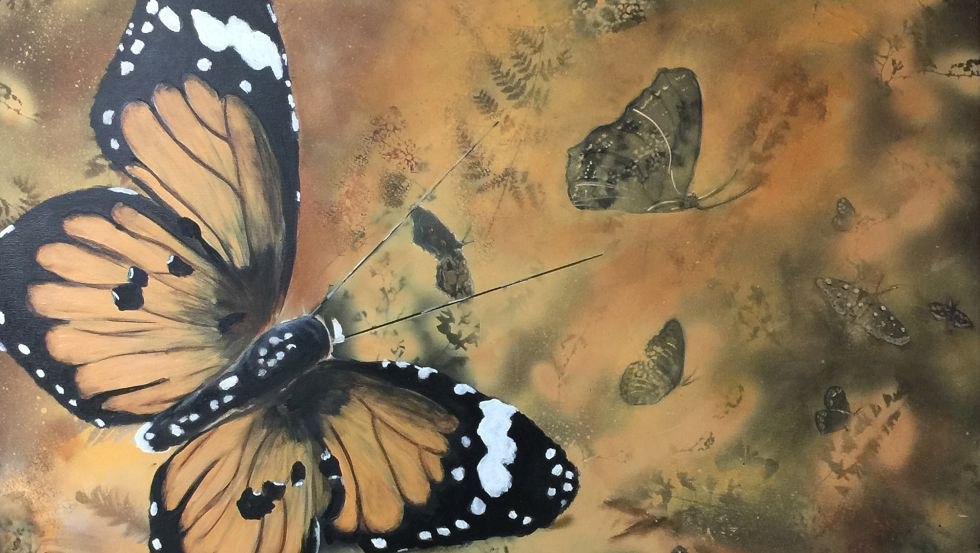 Motyl, &copy; Beate Fritz