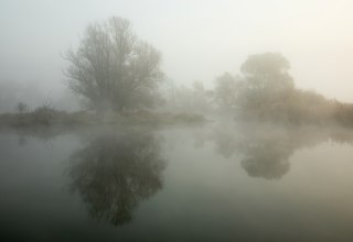 Foggy morning on the L&ouml;cknitz // &copy; Ulf Pipping