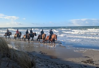 Riding on the Baltic Sea beach // &copy; Islandpferdehof Fischland