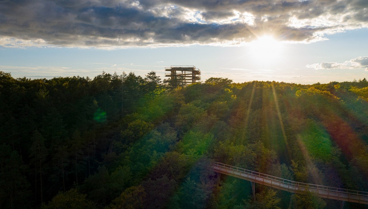 De boomkroonwandeling in Usedom is in elk jaargetijde een aantrekkelijke bestemming voor een uitstapje., © Erlebnis Akademie AG/Baumwipfelpfad Usedom