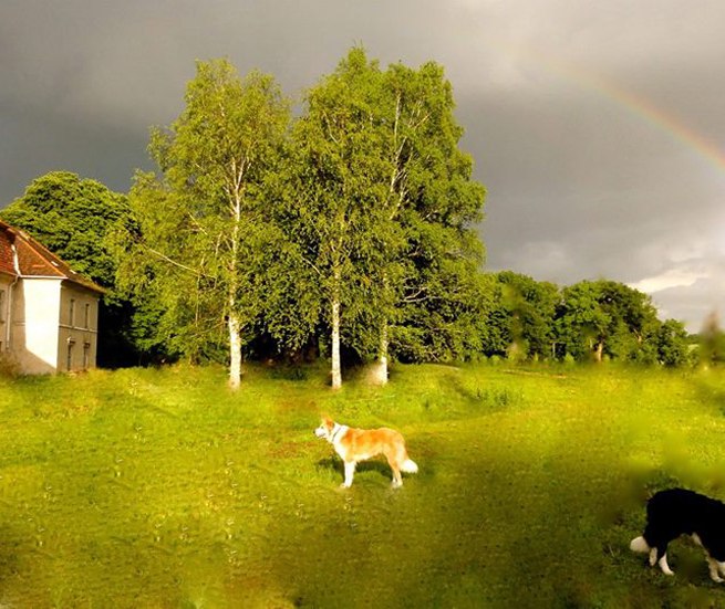 © Schloss Neuhoff © Schloss Neuhoff