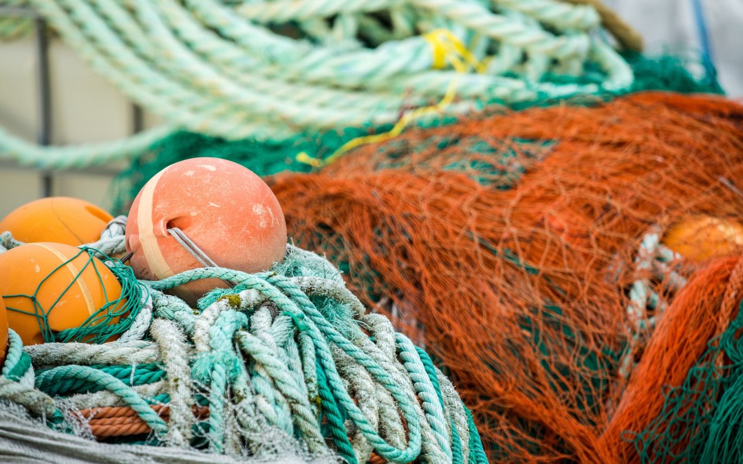 NatuurWorkshop: Sieraden gemaakt van spooknetten, © Erlebnis Akademie AG/NEZR