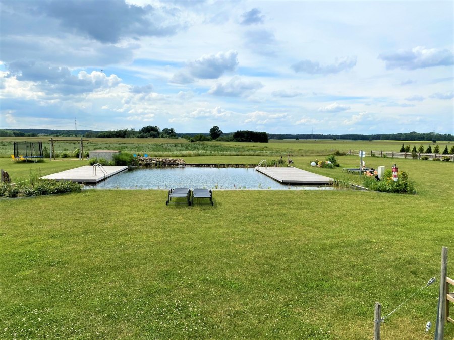 Uitzicht over onze natuurlijke zwemvijver in de verte., © Brigitte Leberl