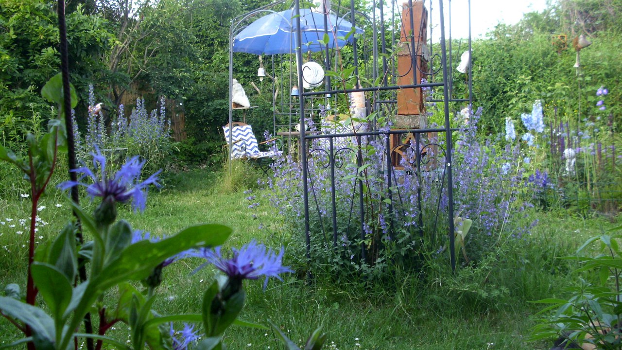The garden in June 2019, &copy; Anette Schr&ouml;der
