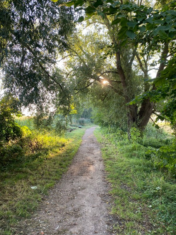 © Waren (Müritz)-Information © Waren (Müritz)-Information