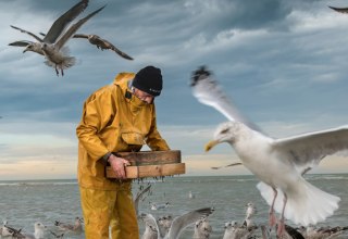 &copy; Rolf Nobel