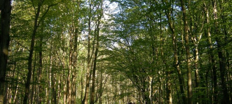 &copy; Biosph&auml;renreservatsamt S&uuml;dost-R&uuml;gen