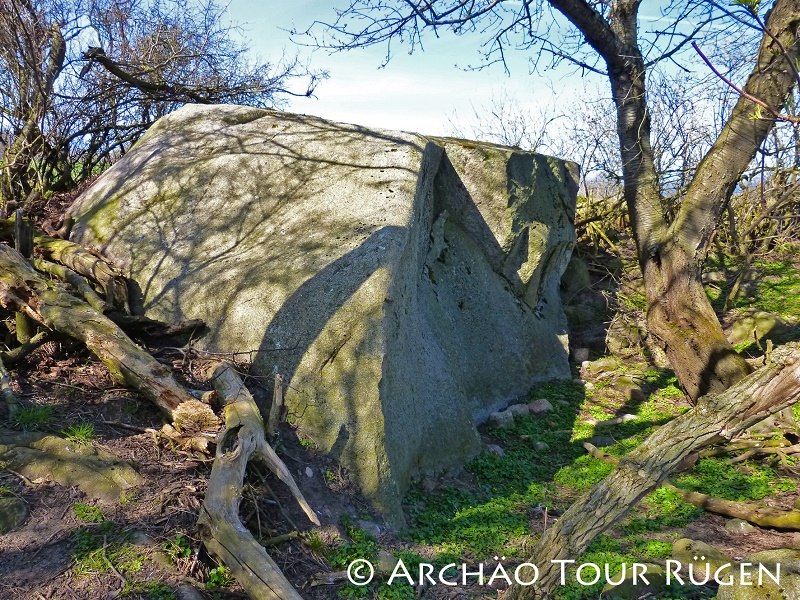 between trees and bushes lies the boulder of Nardevitz in the middle of a field, © Archäo Tour Rügen