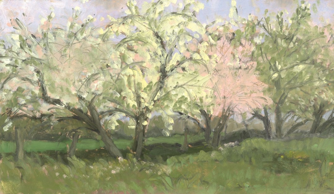 Apple blossom, © Irene Sohler