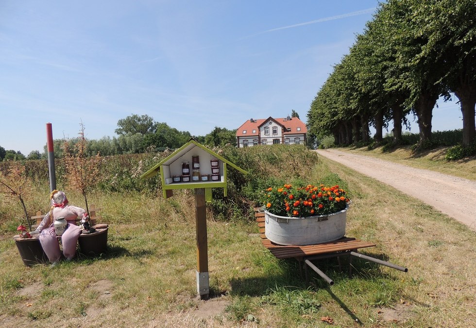 Zicht op de toegangsweg naar Einhusen, © Kurverwaltung Insel Poel