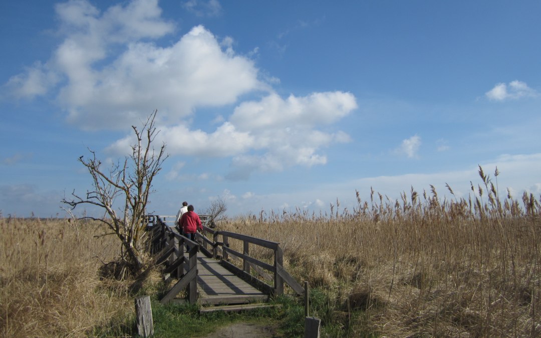 Steiger in Barhöft, © L. Zust