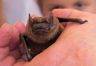 &copy; Nationalparkamt M&uuml;ritz