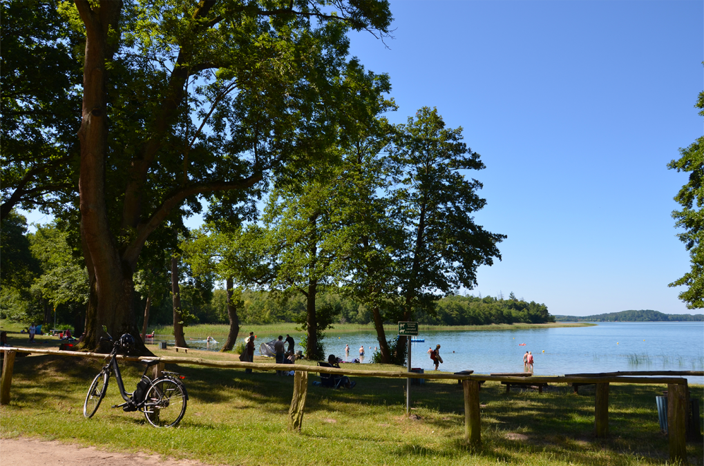 3_BROITER LUZIN - PLAŻA LICHTENBERG, © Martin Möller