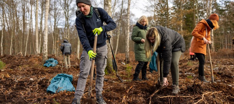 Doing good while planting trees and talking to colleagues about something other than work? Use the tree planting campaign as a company, © Rostocker Citylauf e.V. Doing good while planting trees and talking to colleagues about something other than work? Use the tree planting campaign as a company, © Rostocker Citylauf e.V.