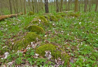 Verscholen in het loofbos liggen meer dan 400 grafheuvels uit de Slavische periode., &copy; Arch&auml;o Tour R&uuml;gen