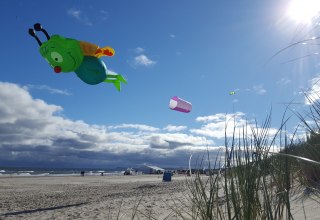 © Usedomer Drachenfestival