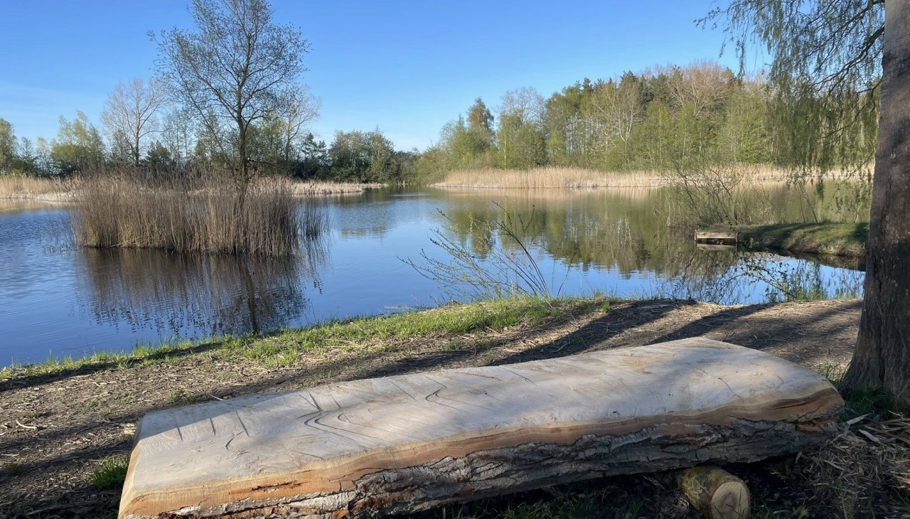 Saaler Tonkuhlen 3, &copy; TZ S&uuml;dliche Boddenk&uuml;ste