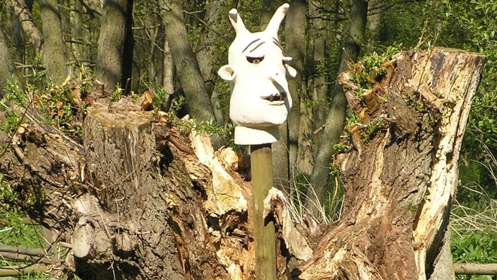 Duivelskop van grove witte klei op een wilgenstronk, © Gerhard Güthoff