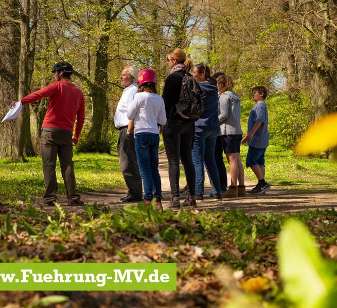 &copy; Martins Zweiradservice