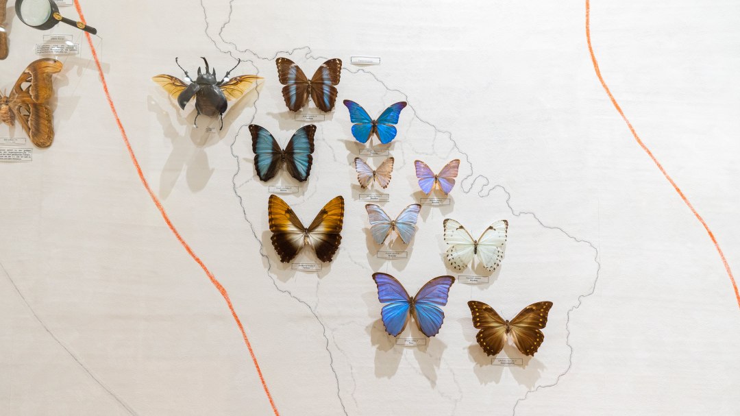 Naturschatzkammer (7)-min, © Moritz Kertzscher