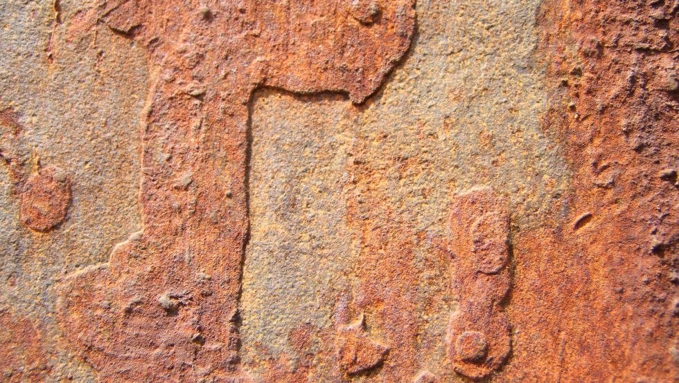 spustoszenie czasu, fotografia, © Martin Sausmikat spustoszenie czasu, fotografia, © Martin Sausmikat