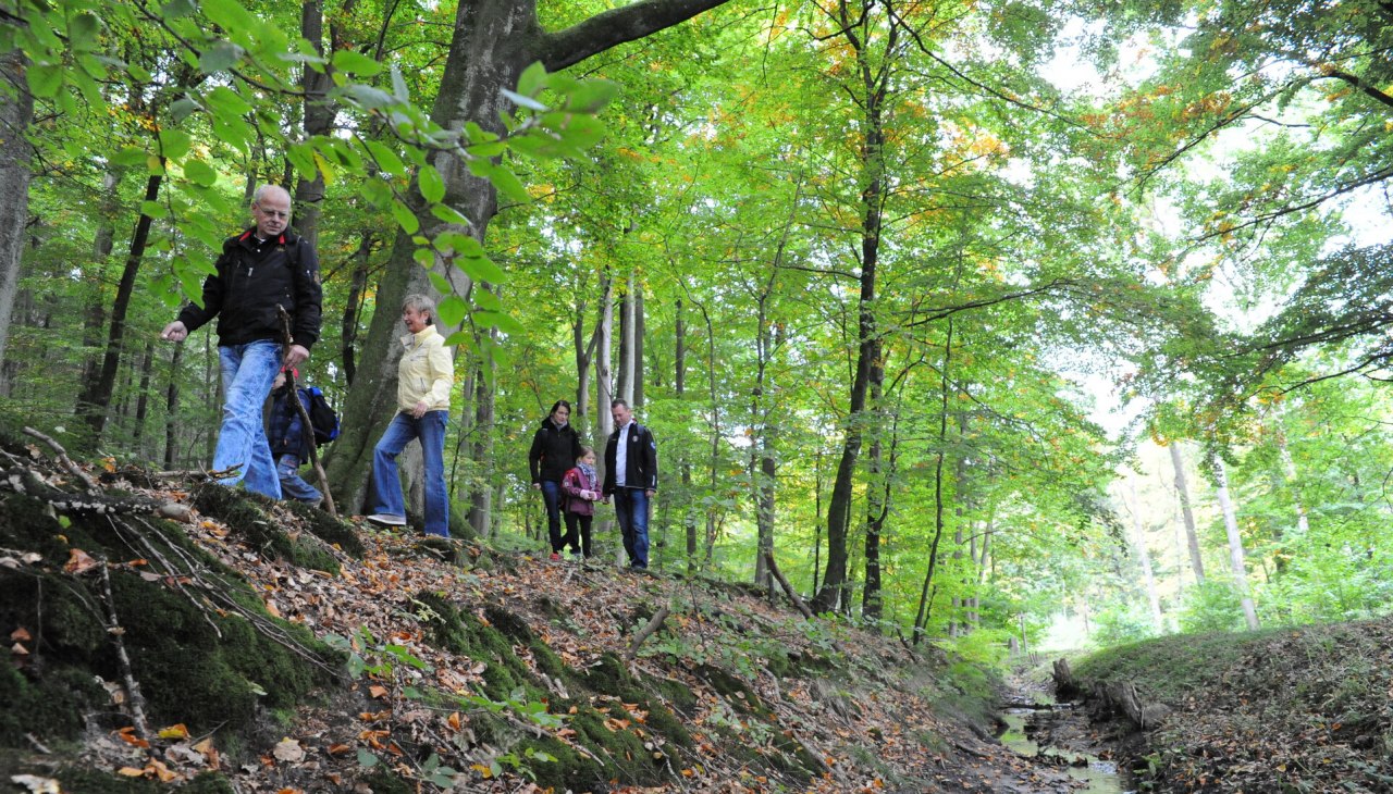 Wandeling door de heide, © TMV/Duerst Wandeling door de heide, © TMV/Duerst